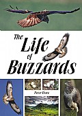 The Life of Buzzards