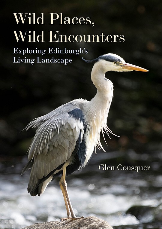 Wild Places, Wild Encounters Glen Cousquer 9781849955713