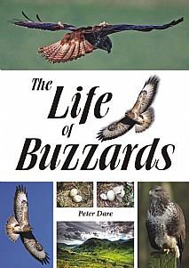 The Life of Buzzards