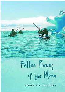 Fallen Pieces of the Moon