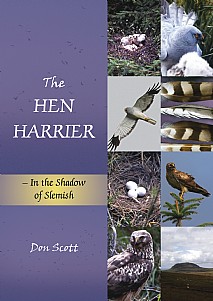 The Hen Harrier